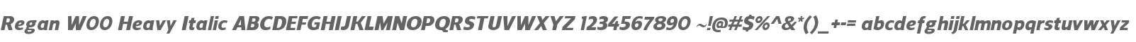 Regan W00 Heavy Italic