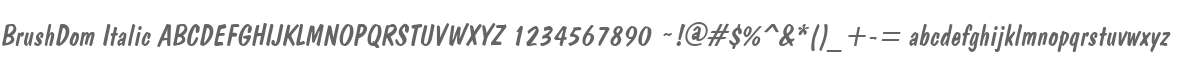 BrushDom Italic