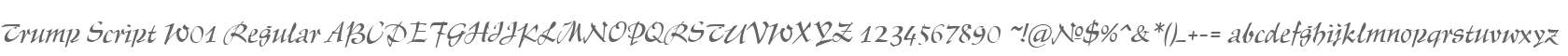 Trump Script W01 Regular