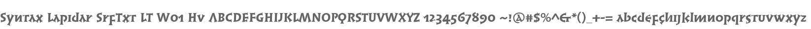 Syntax Lapidar SrfTxt LT W01 Hv