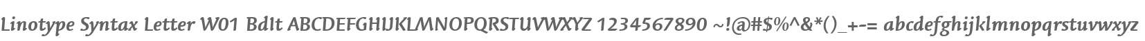 Linotype Syntax Letter W01 BdIt