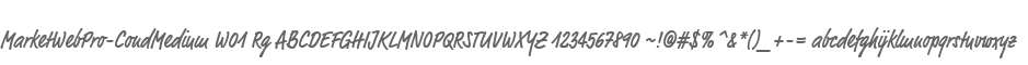 MarketWebPro-CondMedium W01 Rg