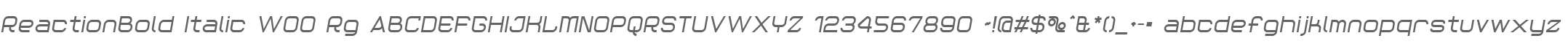 ReactionBold Italic W00 Rg