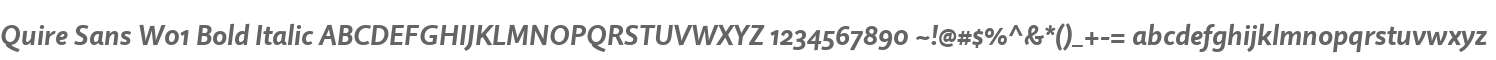 Quire Sans W01 Bold Italic