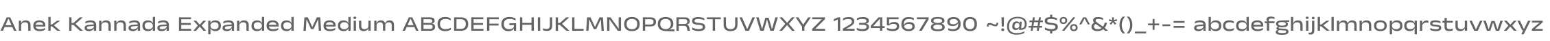 Anek Kannada Expanded Medium