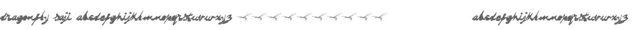 DRAGONFLY saji