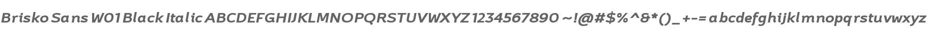 Brisko Sans W01 Black Italic
