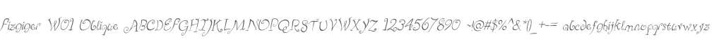 Fizgiger W01 Oblique