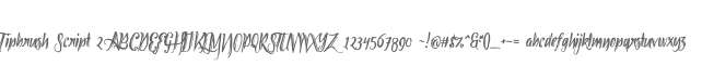 Tipbrush Script 2
