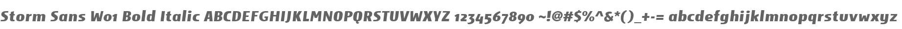 Storm Sans W01 Bold Italic