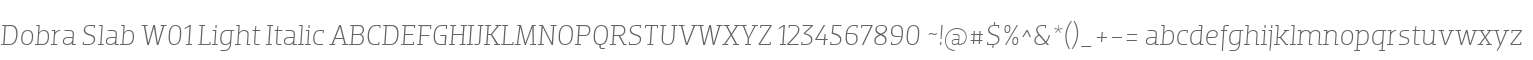 Dobra Slab W01 Light Italic