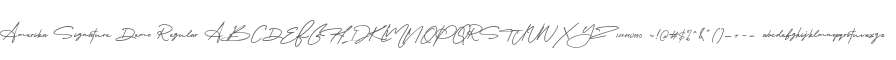 Amerika Signature Demo Regular