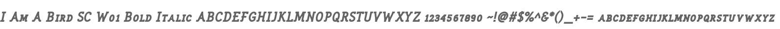 I Am A Bird SC W01 Bold Italic