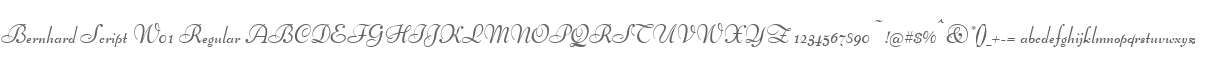 Bernhard Script W01 Regular