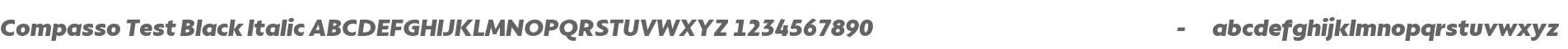 Compasso Test Black Italic
