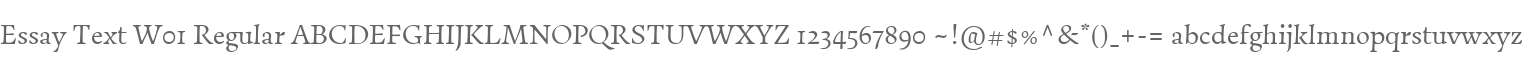 Essay Text W01 Regular
