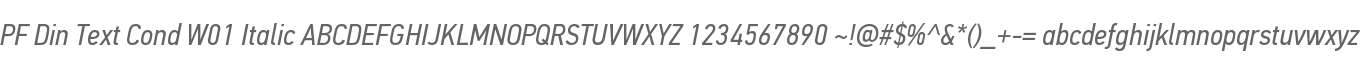 PF Din Text Cond W01 Italic
