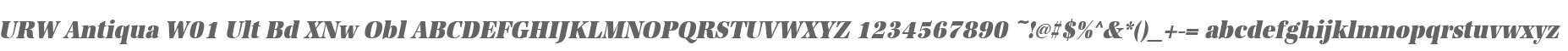 URW Antiqua W01 Ult Bd XNw Obl