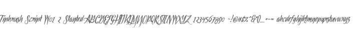 Tipbrush Script W01 2 Slanted