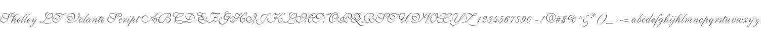Shelley LT Volante Script