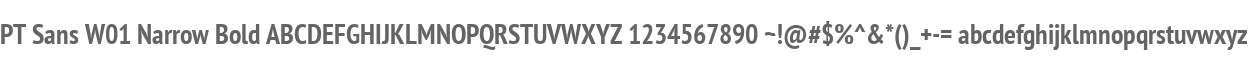 PT Sans W01 Narrow Bold