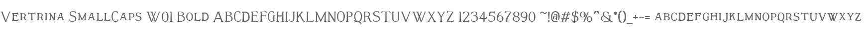 Vertrina SmallCaps W01 Bold