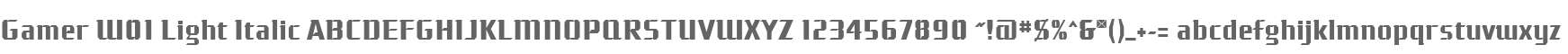 Gamer W01 Light Italic