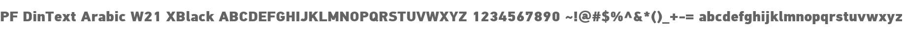 PF DinText Arabic W21 XBlack
