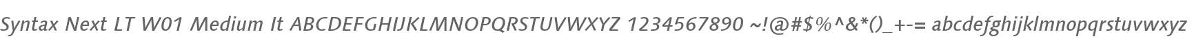 Syntax Next LT W01 Medium It