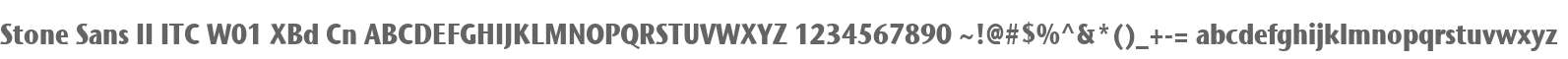 Stone Sans II ITC W01 XBd Cn