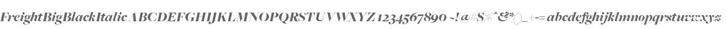 FreightBigBlackItalic