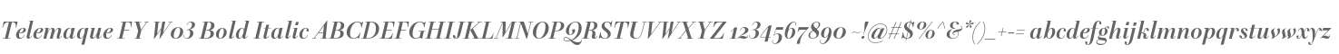 Telemaque FY W03 Bold Italic