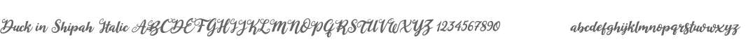 Duck in Shipah Italic