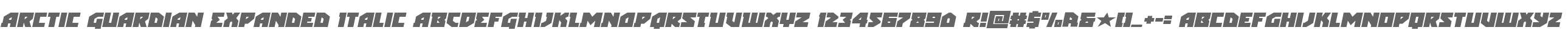 Arctic Guardian Expanded Italic
