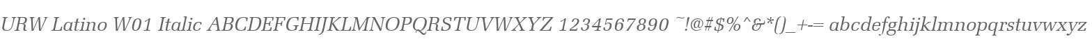 URW Latino W01 Italic