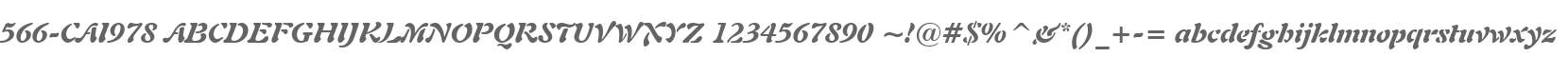 566-CAI978