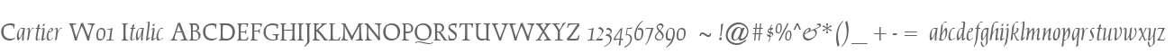 Cartier W01 Italic
