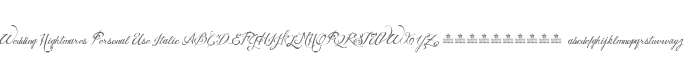 Wedding Nightmares Personal Use Italic