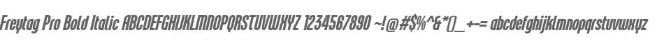 Freytag Pro Bold Italic