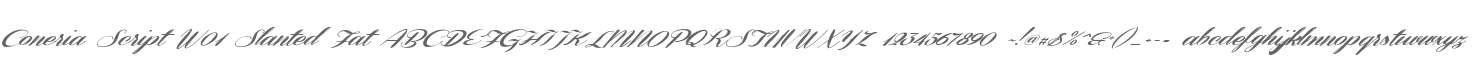 Coneria Script W01 Slanted Fat