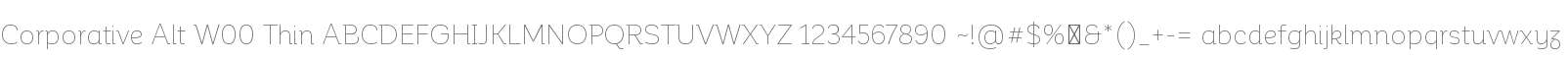 Corporative Alt W00 Thin