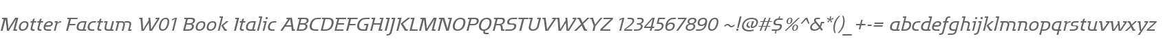 Motter Factum W01 Book Italic