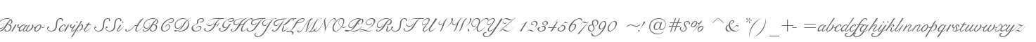 Bravo Script SSi