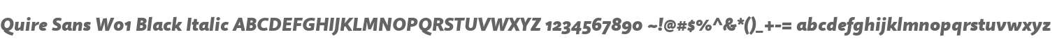 Quire Sans W01 Black Italic