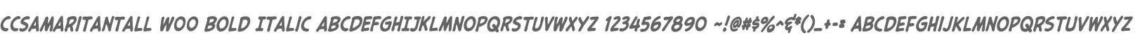CCSamaritanTall W00 Bold Italic
