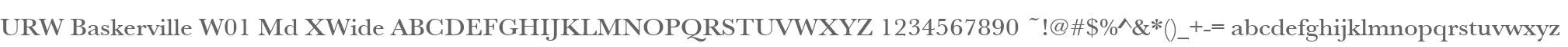 URW Baskerville W01 Md XWide