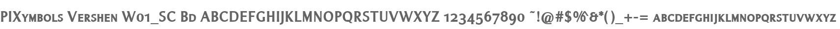 PIXymbols Vershen W01_SC Bd