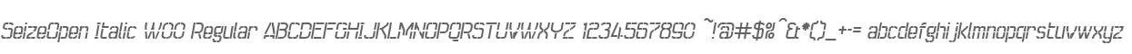 SeizeOpen Italic W00 Regular