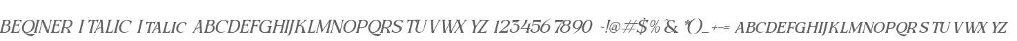 BEQINER ITALIC