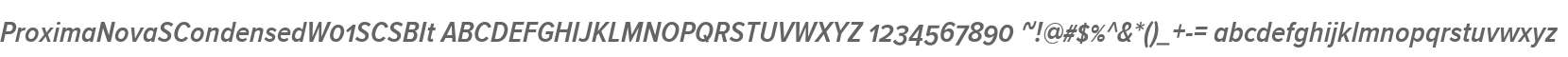 ProximaNovaSCondensedW01SCSBIt